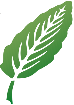 (c) Leaf.com.br